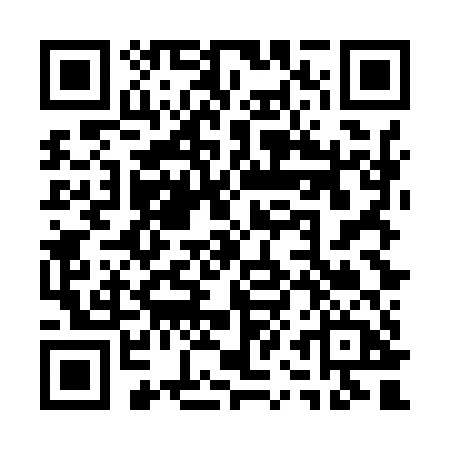 torontocarnival_ca_instagram_qr