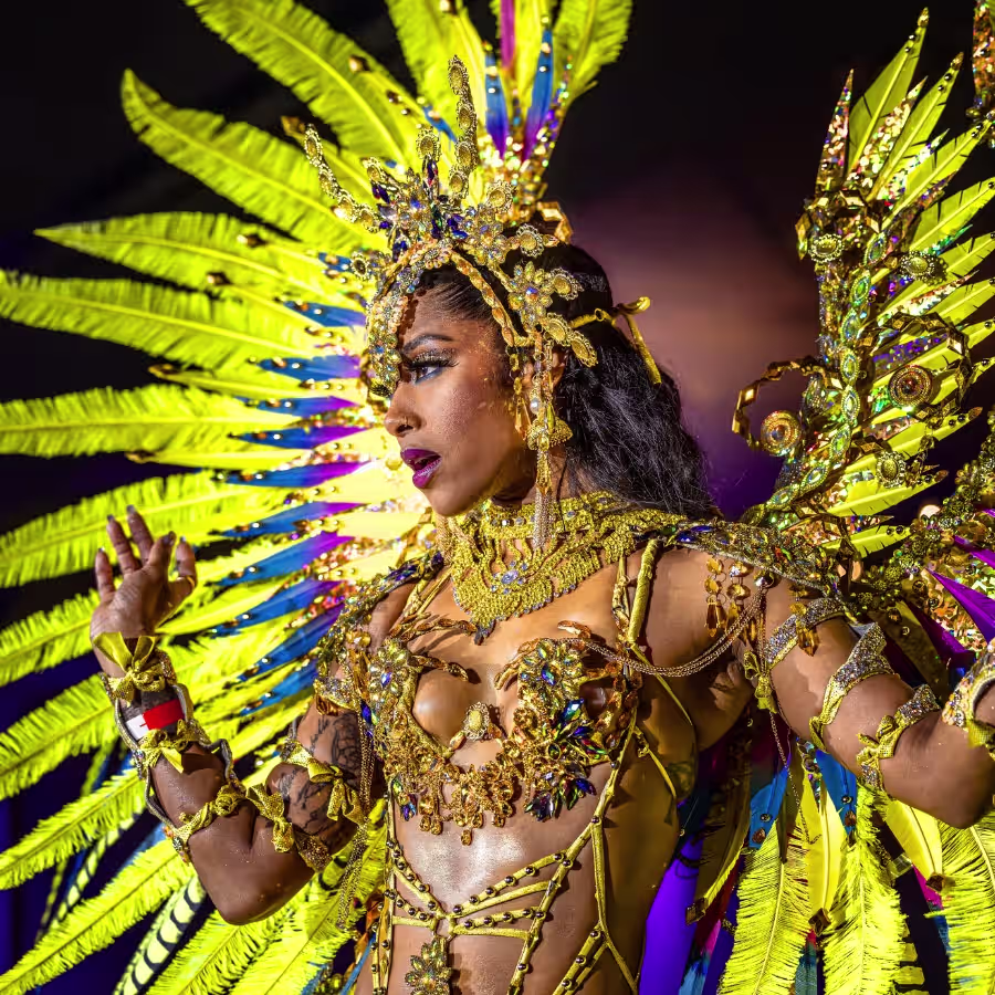 Our-Story Toronto Caribbean Carnival 2026 Our-Story Toronto Caribbean Carnival 2026